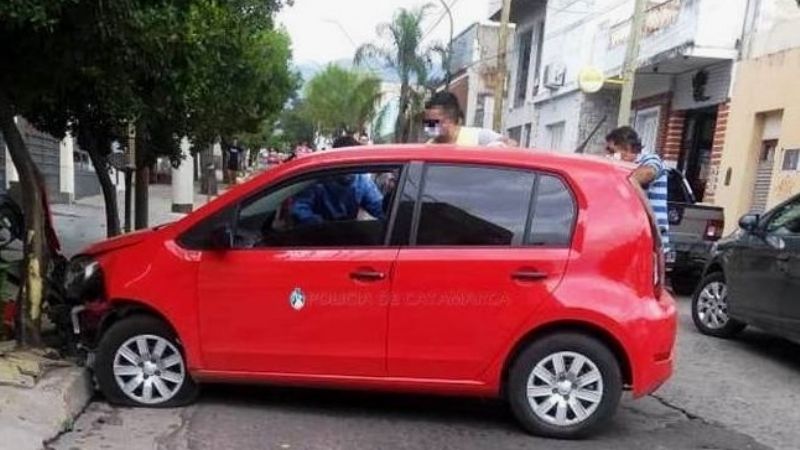 Chocó contra un árbol