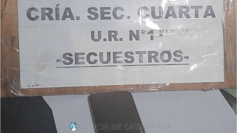 Arrebataron la cartera a una mujer y en persecución fueron atrapados