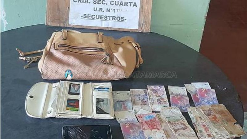 Arrebataron la cartera a una mujer y en persecución fueron atrapados
