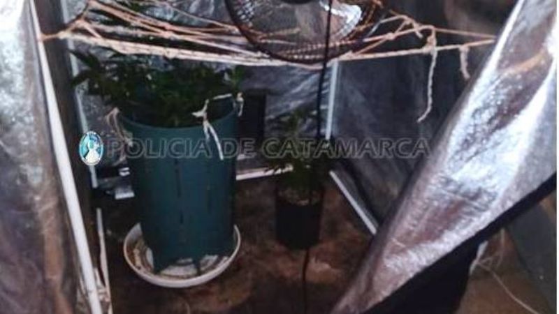 Un detenido por venta de drogas: secuestraron más de un kilo de marihuana