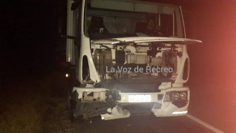 Camionero impactó contra un animal suelto en la ruta 157