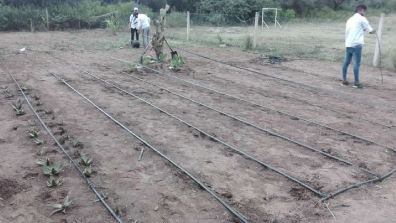 Alumnos de escuela rural prepararon una huerta