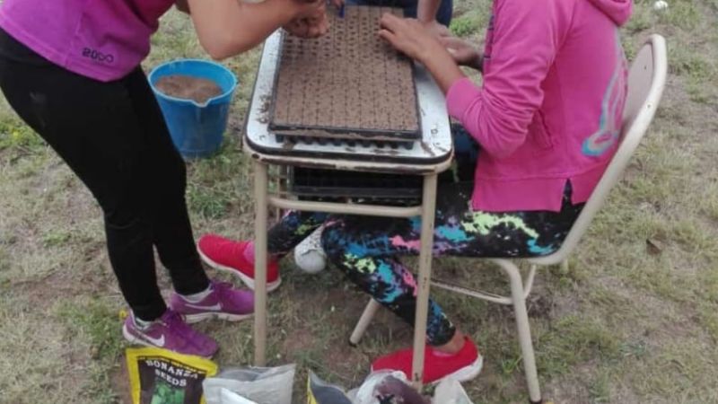 Alumnos de escuela rural prepararon una huerta
