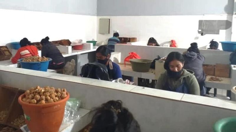 Buscan reactivar emprendimientos agroindustriales en Belén