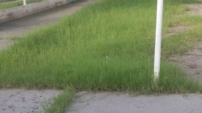 Desolador: abandono y vandalismo en el Poli de las Mil Viviendas