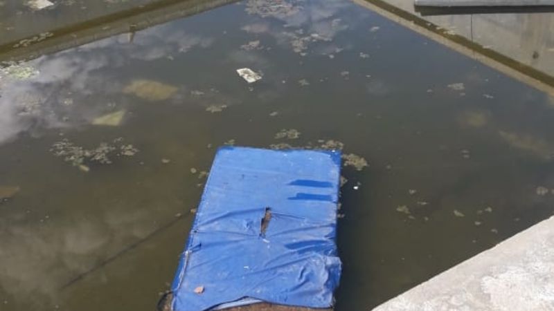 Desolador: abandono y vandalismo en el Poli de las Mil Viviendas