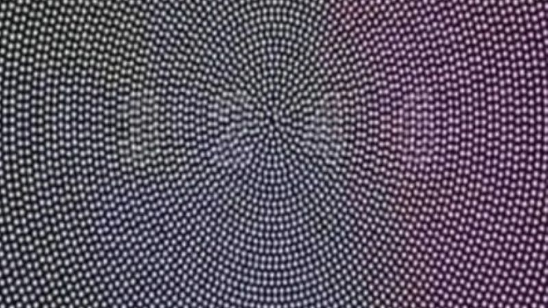 Reto viral que determina si tenes algún problema en la vista