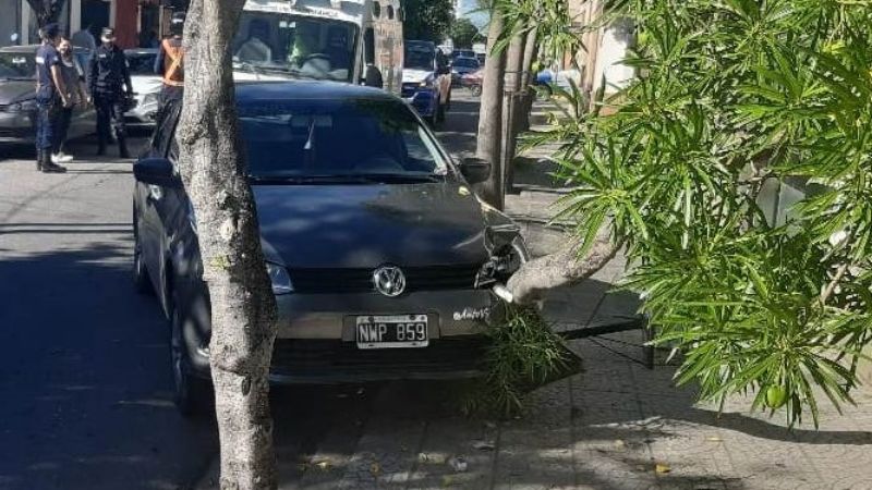 Perdió el control del auto y se estrelló contra un árbol