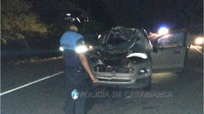 Chocó contra un animal suelto