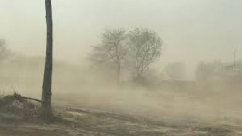 Alerta por vientos fuertes y ¿llega la lluvia?