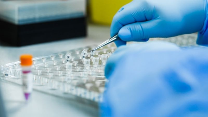 Ciencia y trabajo colaborativo para investigar las variantes del coronavirus