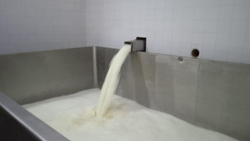 Compran 6 mil litros de leche para incrementar la producción de Cotali