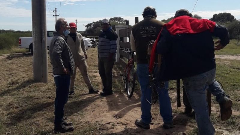 Detectan trabajo en negro de ganaderos en La Paz