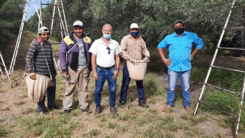 Detectan trabajo en negro de ganaderos en La Paz