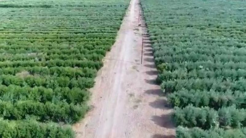 AICAT SE adquirió Campo La Luna en la ciudad de Tinogasta
