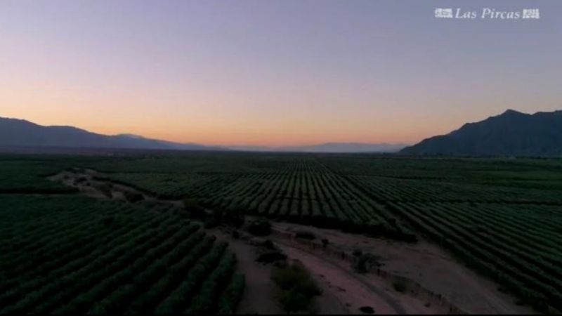 AICAT SE adquirió Campo La Luna en la ciudad de Tinogasta
