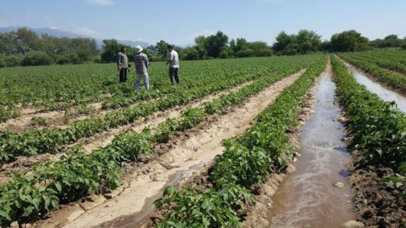 Aporte de $300 millones a AICAT