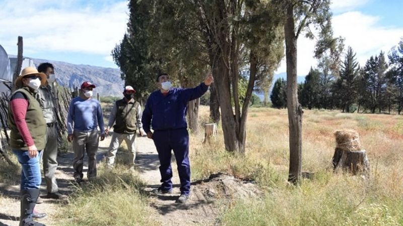 Santa María tendrá su vivero municipal forestal