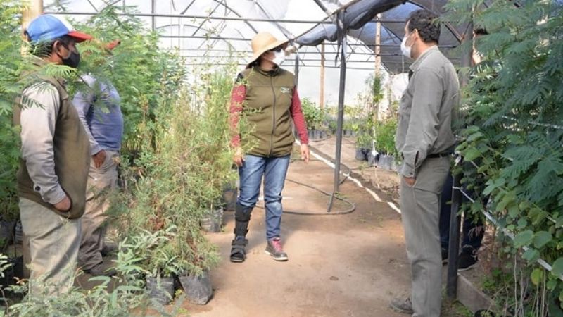 Santa María tendrá su vivero municipal forestal