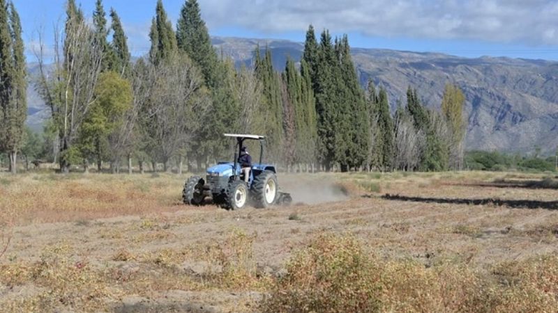 Santa María tendrá su vivero municipal forestal