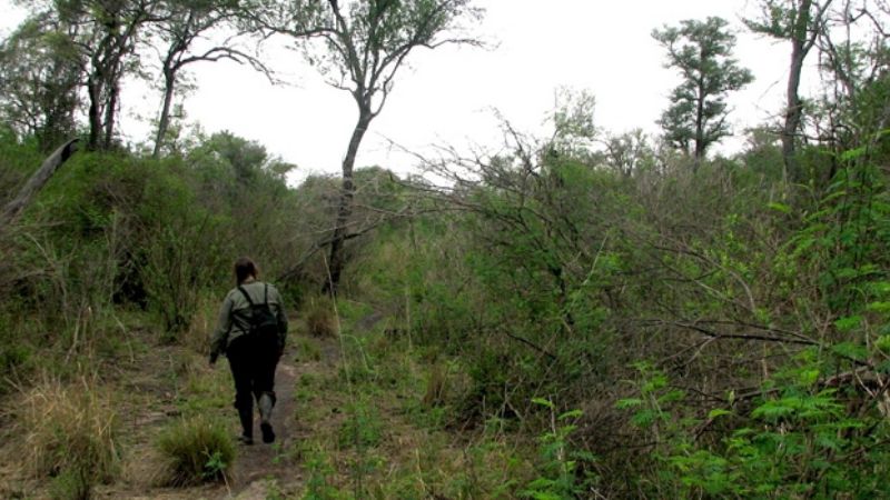 Trabajan para que el virus de humanos no llegue a los animales
