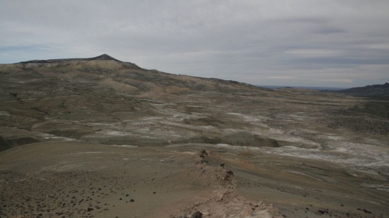 Detectan dimorfismo sexual en una especie de elasmosáurido