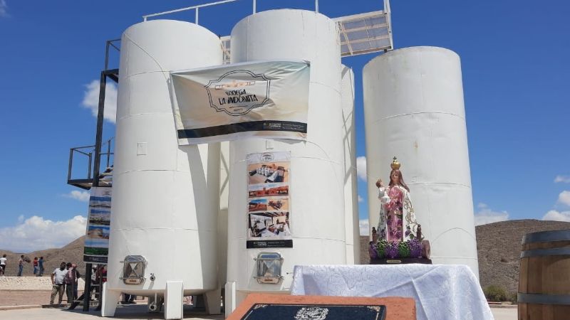 Más de $9 millones para los productores vitícolas de Fiambalá