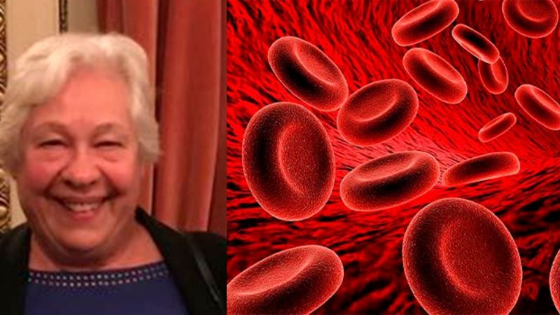 Estudian una proteína que favorecería la maduración del Sistema Nervioso Central