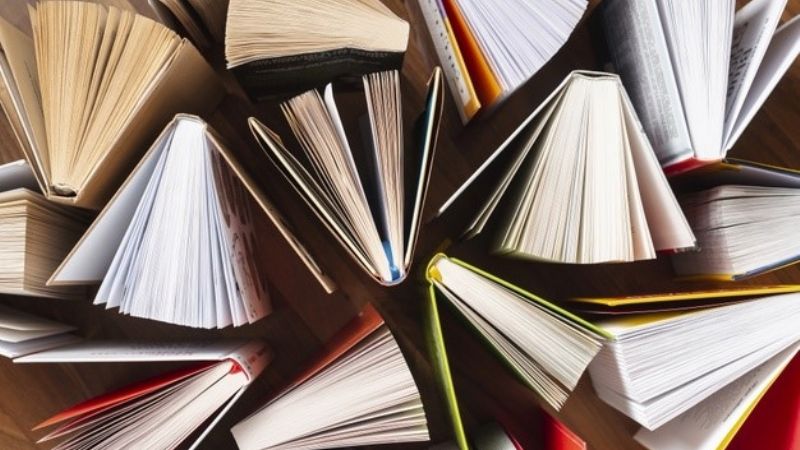 El Ministerio de Educación trabaja en su propia editorial