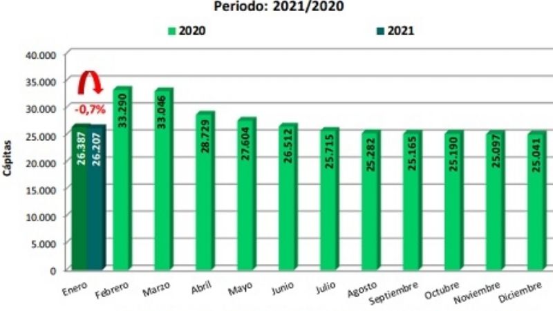La Rioja perdió más de 1700 puestos de trabajo del sector privado en dos años