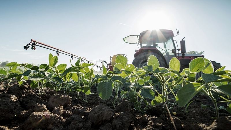 La rentabilidad de los agricultores se ubica entre "las más altas de la historia"
