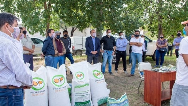 Comenzó el pago de la cosecha de membrillo