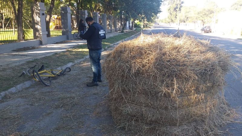 Se desprendió un fardo de pastura y cayó sobre una mujer en bici