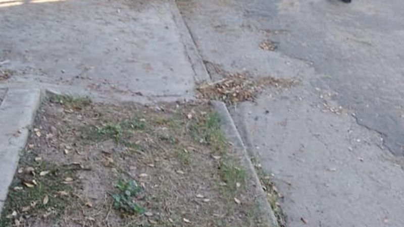 Se desprendió un fardo de pastura y cayó sobre una mujer en bici