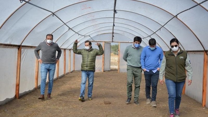 Santa María ya cuenta con el primer vivero forestal