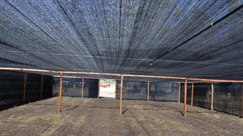 Santa María ya cuenta con el primer vivero forestal