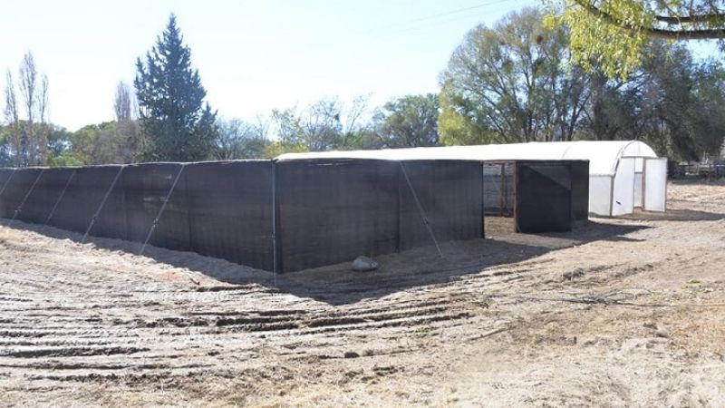 Santa María ya cuenta con el primer vivero forestal