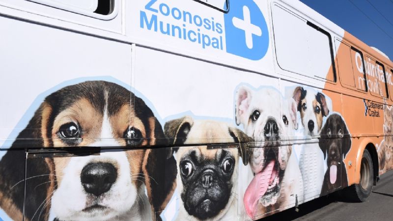 Capital ya cuenta con un quirófano móvil gratuito para mascotas