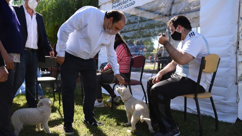 Capital ya cuenta con un quirófano móvil gratuito para mascotas