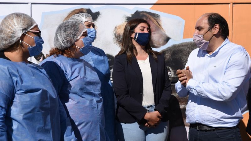 Capital ya cuenta con un quirófano móvil gratuito para mascotas