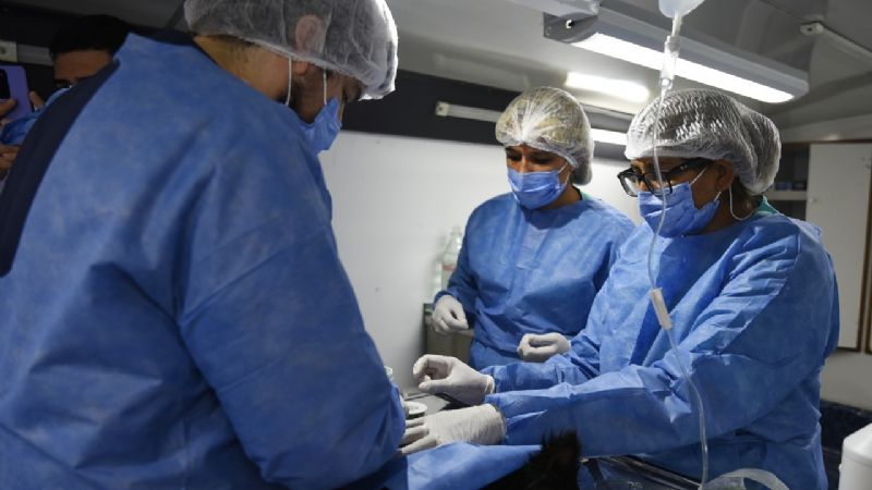 Capital ya cuenta con un quirófano móvil gratuito para mascotas