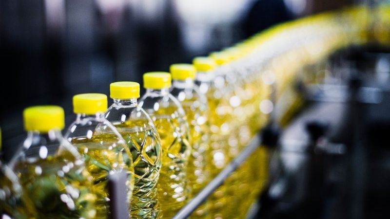 Prohíben la venta del "hongo de la inmortalidad" y de dos aceites de girasol