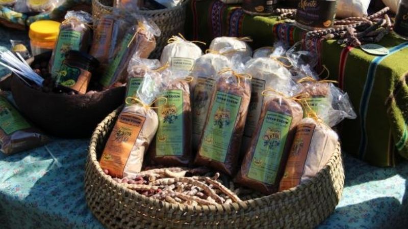 Impulsan proyecto local del fruto de algarrobo como alimento humano y forrajes