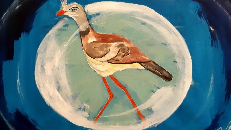 Artista catamarqueña seleccionada en París