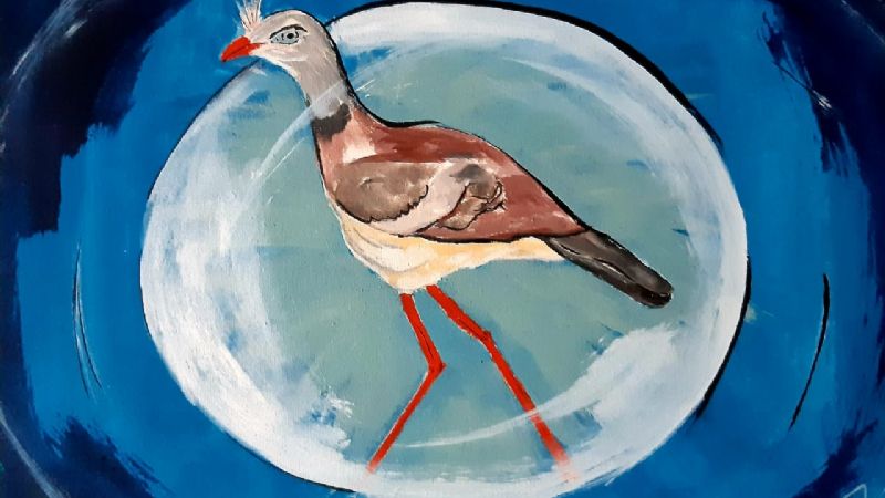 Artista catamarqueña seleccionada en París