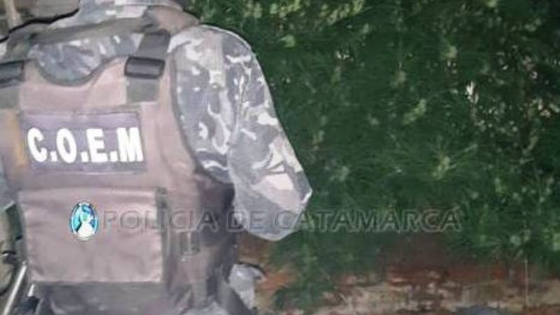 Secuestran dos plantas de marihuana tras un hecho de violencia de género