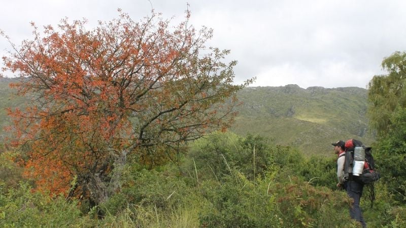 El “gracias” a la Virgen del Cerro, en los Altos de Arena