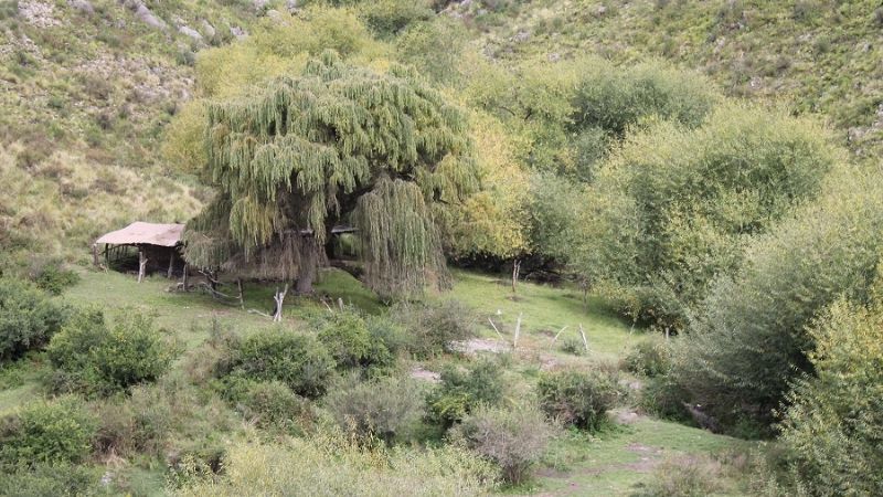 El “gracias” a la Virgen del Cerro, en los Altos de Arena