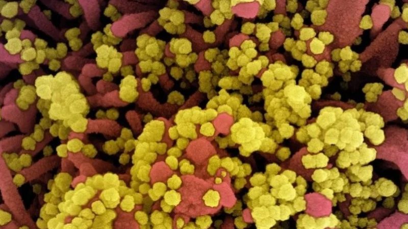 Alerta mundial por la nueva cepa Belo Horizonte que tiene 18 mutaciones