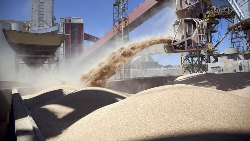 Exportaciones: 7 de cada 10 dólares provienen del agro